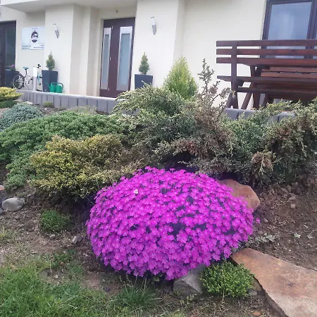 Przy Trakcie Cesarskim Apartman *