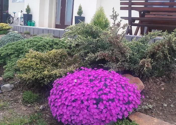 Przy Trakcie Cesarskim דירה *